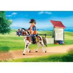 Playmobil - Set De Limpieza Para Caballos - 6929 -Playmobil Ventas medias 1011